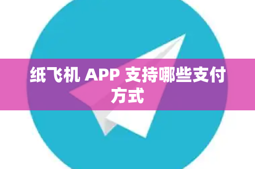 纸飞机 APP 支持哪些支付方式