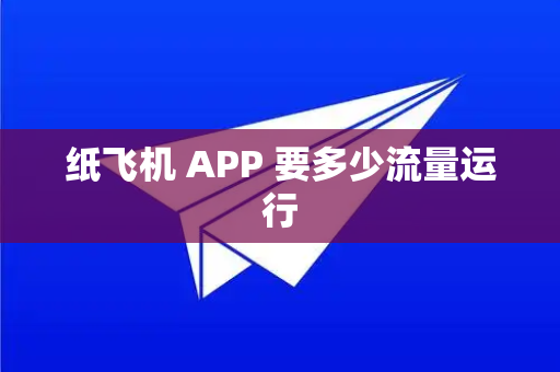 纸飞机 APP 要多少流量运行