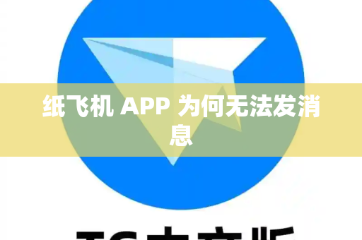 纸飞机 APP 为何无法发消息